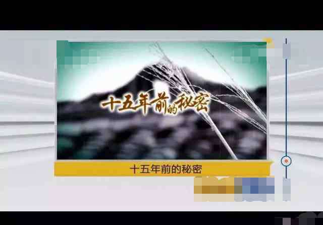 天网里最经典的案件 扒一扒“天网”里面那些毛骨悚然的重大案件