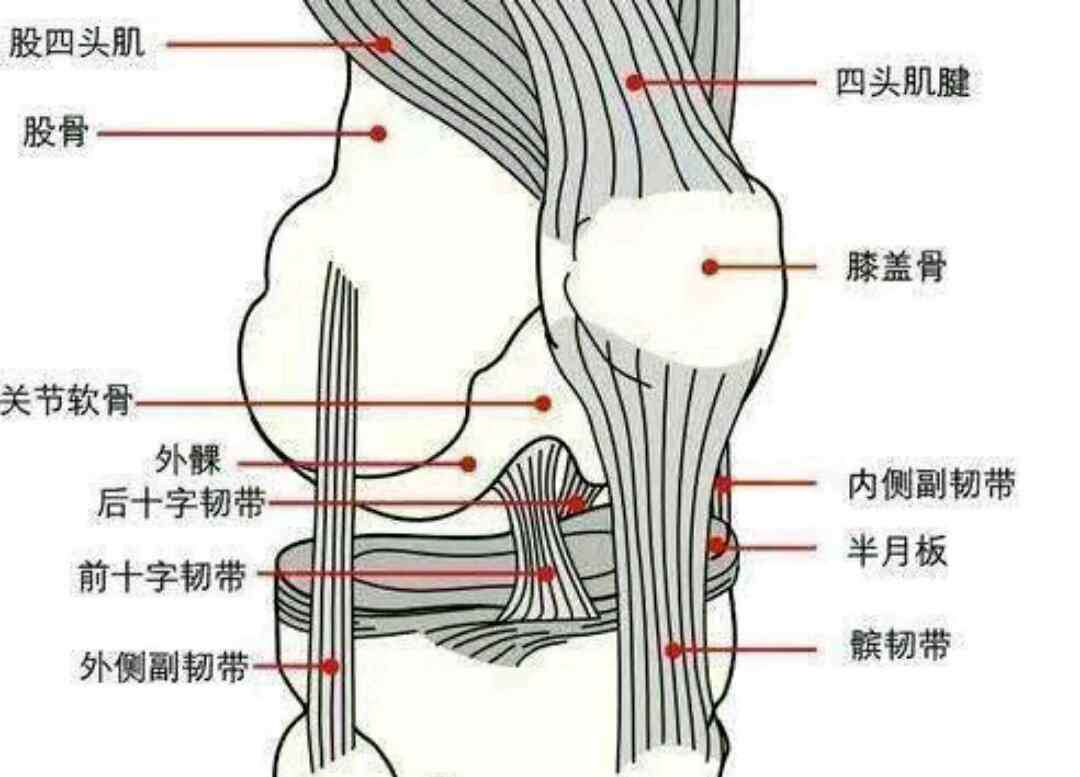 夹枕头 有不伤膝关节的肌肉力量运动方式吗？