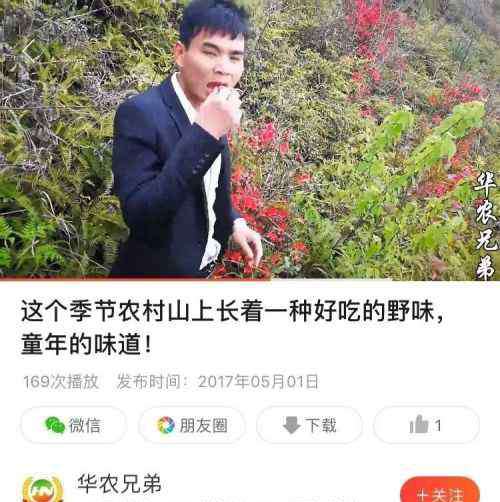 华农兄弟微博 华农兄弟快速走红的“幕后推手”究竟是谁？