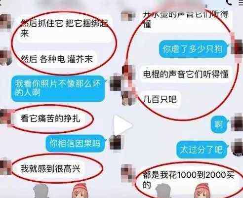 南通大学研究生 南通大学研究生被质疑再次虐狗，校方回应：不清楚，网友反应激烈