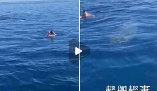 22海里 吓坏!小伙在海里游泳时发现一条6米长大鱼 仔细一看后吓坏