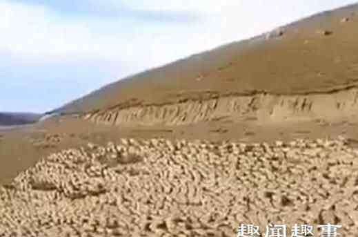 蒙古国希望内蒙古合并 蒙古国赠送中国的30000只羊已浩浩荡荡赶往口岸?真相来了曝光令人无语