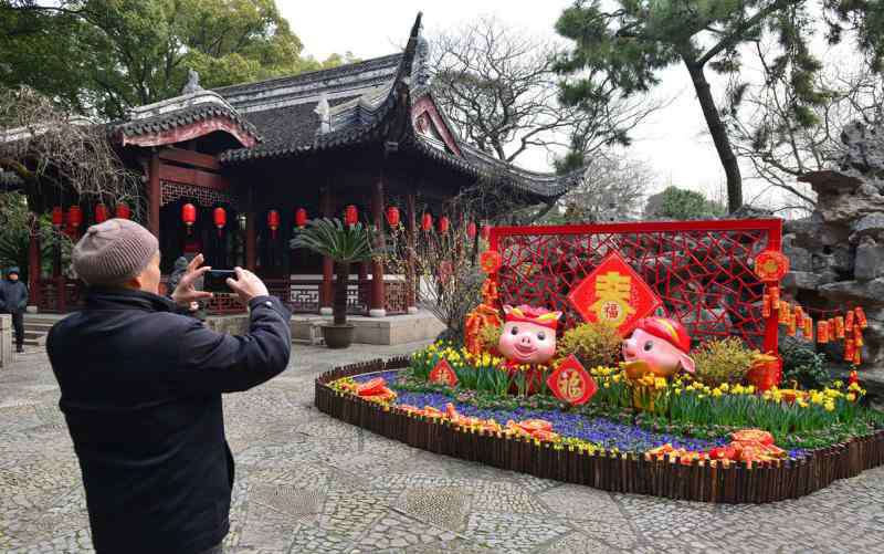 猪毛草 猪年新春新玩法，上海市民游客纷纷去公园找“猪”