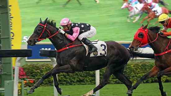 莫雷拉 【香港经典一哩赛】莫雷拉：二选一，我选择「美丽非凡」！