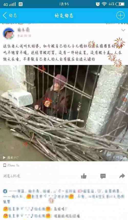 老汉被赶进猪圈睡觉 广西凤山县92岁老人被关猪圈 背后真相揭秘