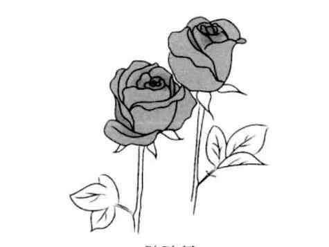 描写玫瑰花的样子 美丽的玫瑰花简笔画图片大全