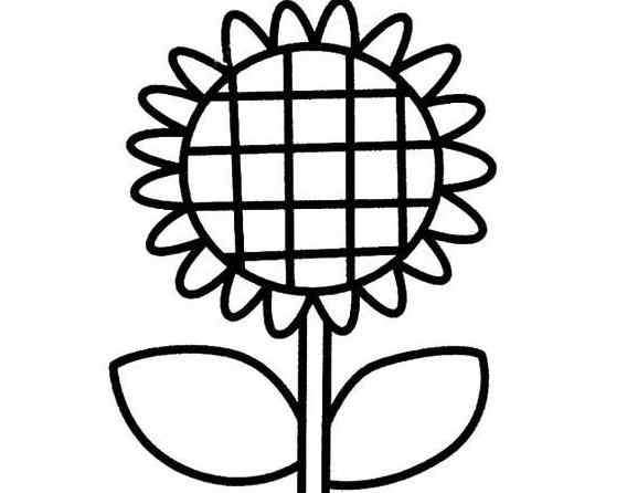 向日葵怎么画简单好看 简单好看的花简笔画_太阳花来了