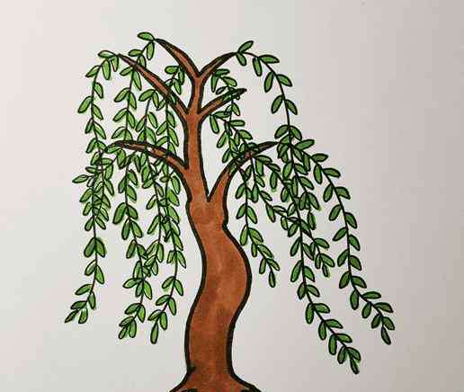 怎么画柳树柳树怎么画柳树简笔画画法步骤教程