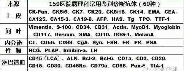 免疫组化技术 告诉您为什么要做免疫组化？