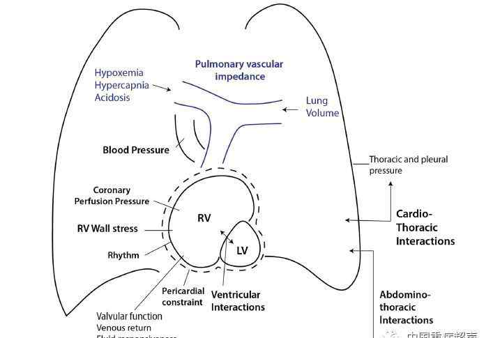 右心衰竭 右心衰竭的诊断、病因和管理（三）