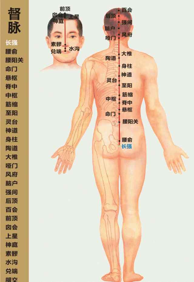 身体经络图 人体经络运行图（珍藏版）