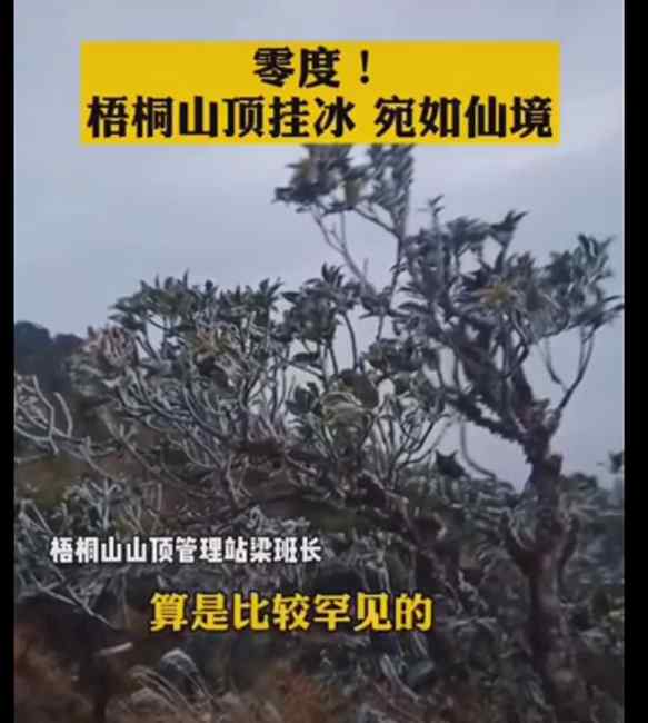 广东加入下雪“群聊” 深圳梧桐山出现霜冻 网友：难得啊！