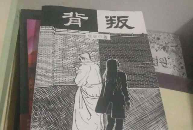 天幕红尘 神秘作家豆豆：为何《天幕红尘》之后，再无作品？