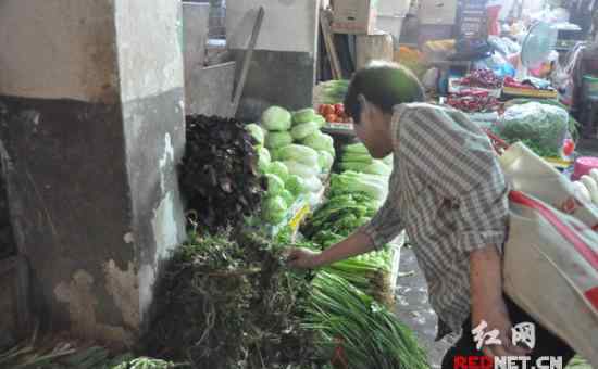 路边荆 长沙人入伏爱吃鸡 叫鸡和路边荆成抢手货