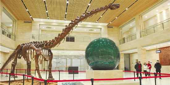 吉兰泰龙 金华展出浙江出土恐龙化石 恐龙“喜蛋”出展