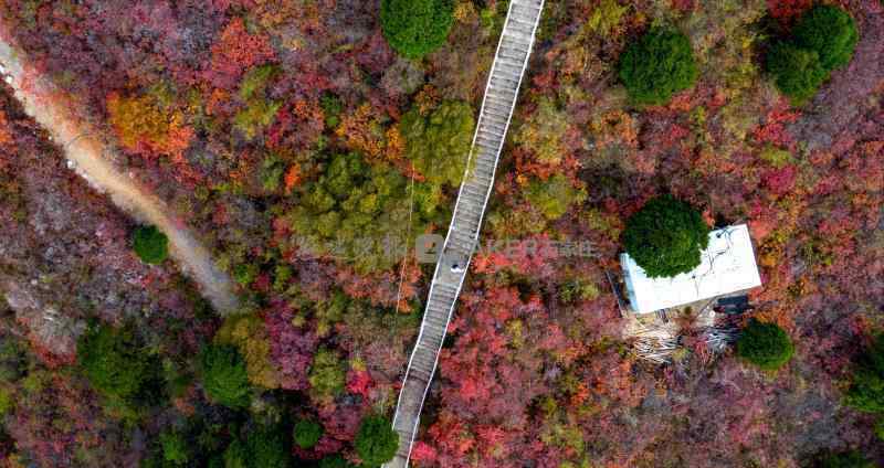 仙台山 多图｜仙台山红叶 惊艳八百里太行