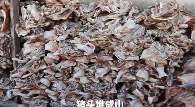 江苏女子家中挂4000个猪头 画面太刺激了！网友：流下羡慕的口水