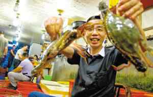 梭子蟹价格 梭子蟹上市 近日鲜白蟹价格最高跌幅达60元每斤