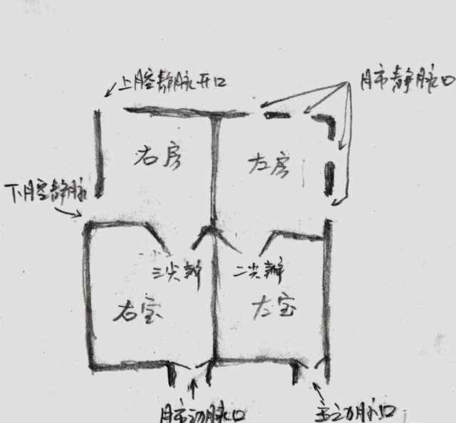 医生手绘图片 医生秒变画家 灏心医生手绘图片科普心脏病知识