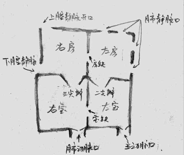 医生手绘图片 医生秒变画家 灏心医生手绘图片科普心脏病知识