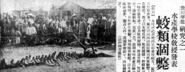 龙骨事件 1934年“营口坠龙”事件：到底是真是假？老人上交龙骨揭开实情