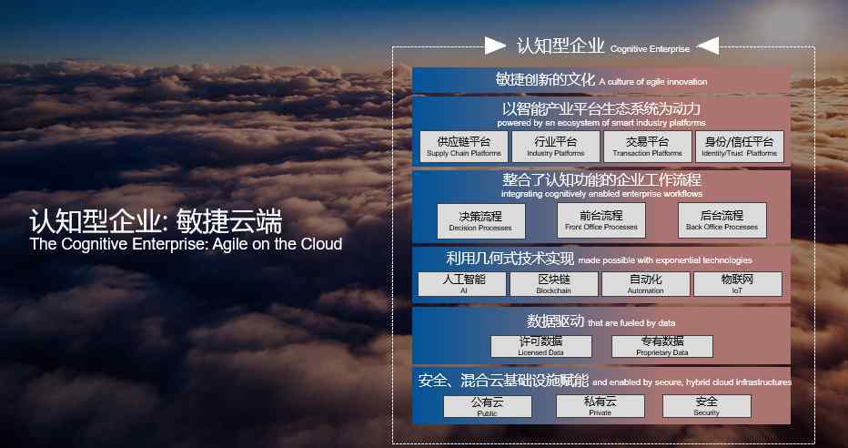 领航咨询 “企业咨询服务”进入2.0时代，IBM领航咨询新模式