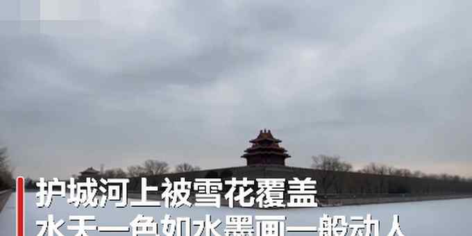 “故宫的雪”刷屏 恍若穿回紫禁城！网友：又是没抢到票的一年