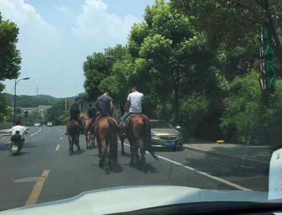 骑马上班 杭州4人骑马骑到马路上 竟是为了去上班