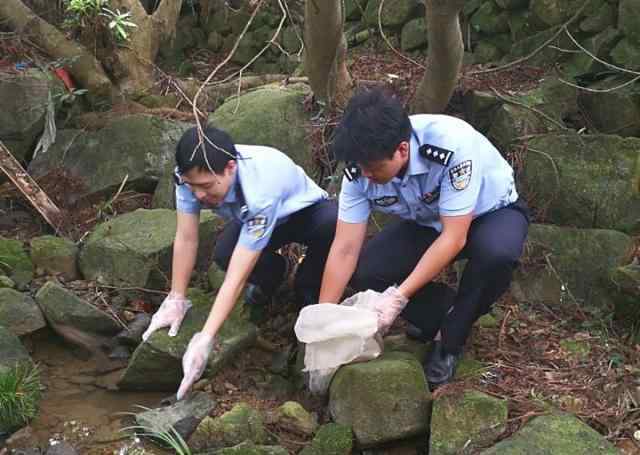 石蚌 男子深夜到温州一山上抓石蛙 被民警当场抓获