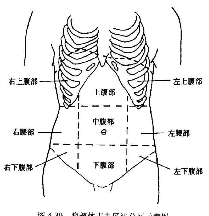 腹痛原因 腹部分区：判断腹痛原因