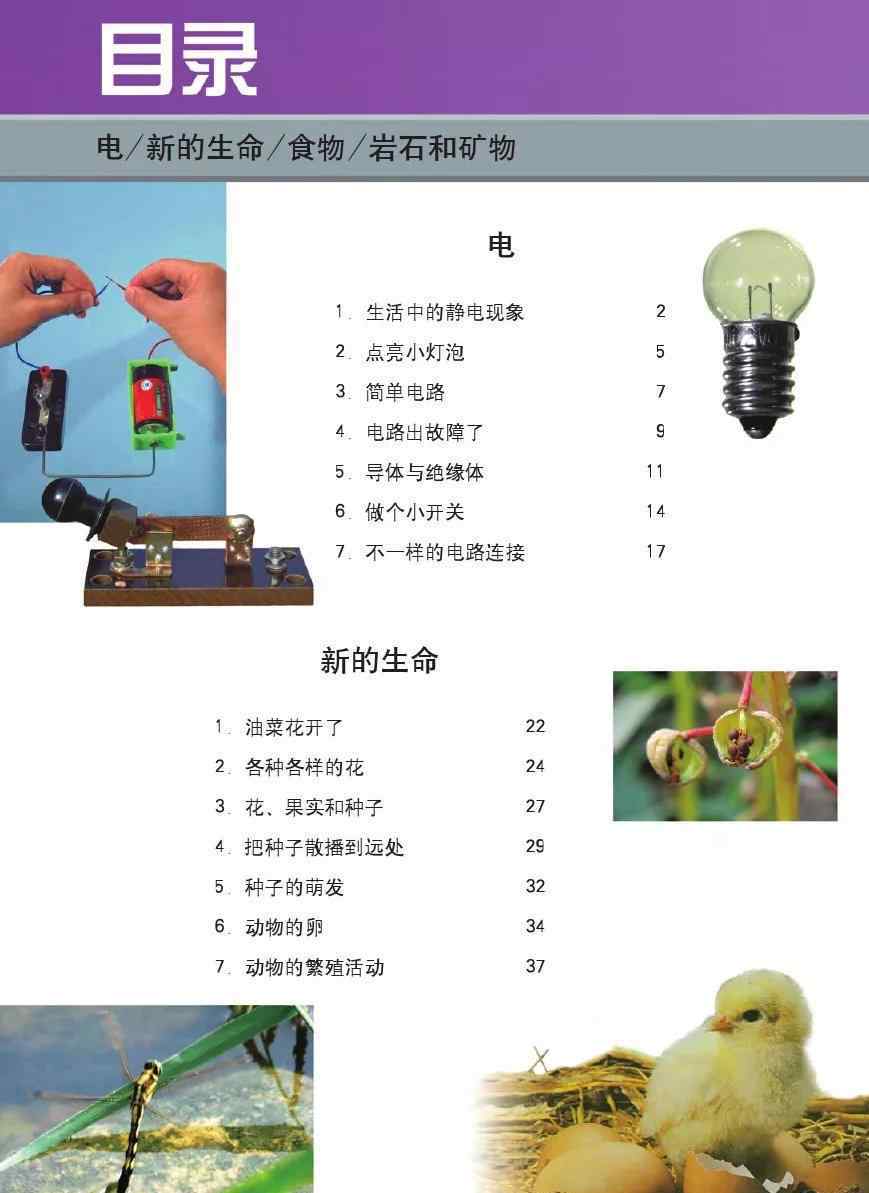 四年级下册科学书内容 教科版四年级科学下册电子课本