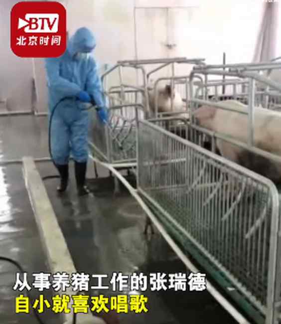 哈尔滨养猪男子给猪唱歌：猪的情绪比以前稳定了 出栏时间也缩短