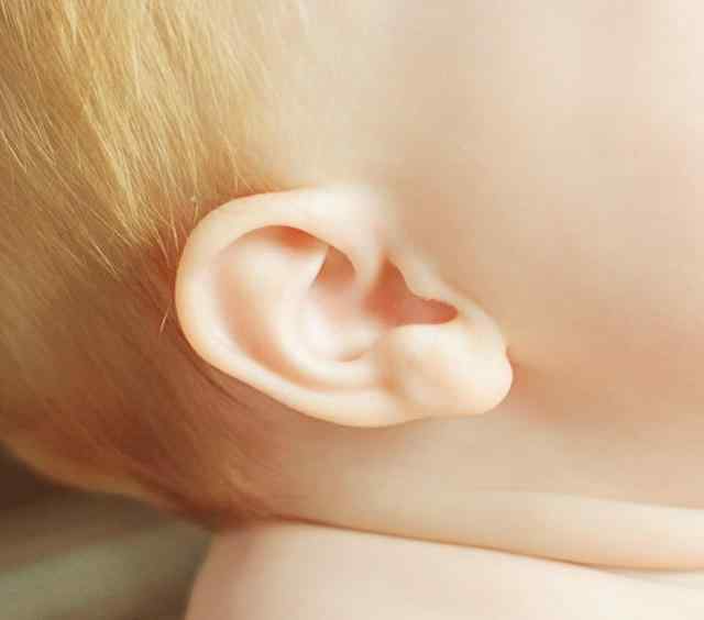 耳朵福气图 心理学：这3只耳朵，你觉得哪只最有福气？测你有没有富贵命？