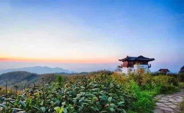 茶园 中国最美的10个茶山茶园，不喝茶也要去一趟！