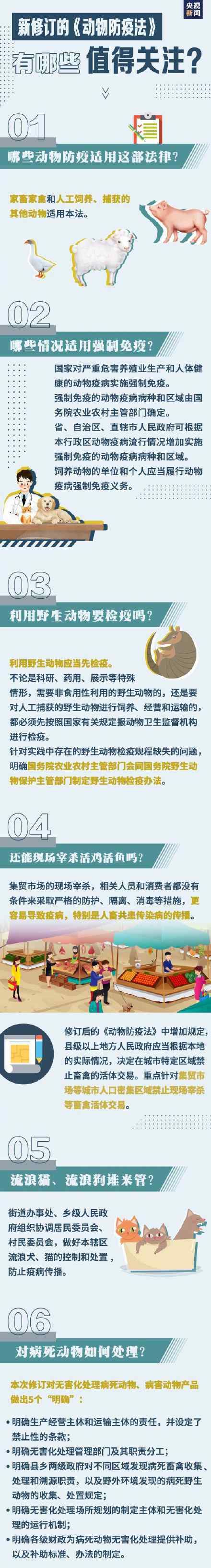 周知！遛狗拴绳入法 网友：支持 这是对大家都负责