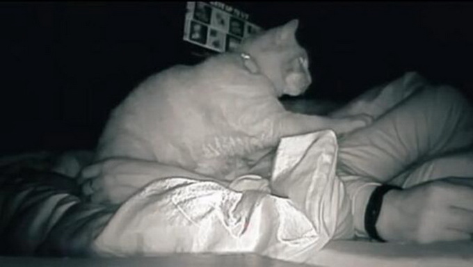 国外一女子睡醒感到疲惫 查看监控发现自家猫半夜打了她4小时