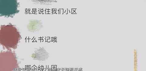 “严书记女儿”坑爹？真相曝光！这事怪不了别人