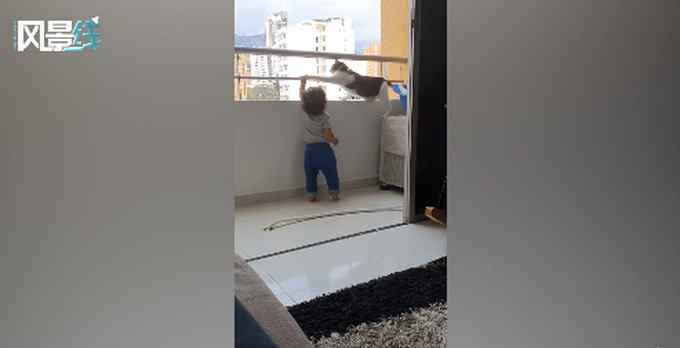 操碎心！国外1岁孩子阳台抓栏杆玩 猫保姆不顾危险贴身保护