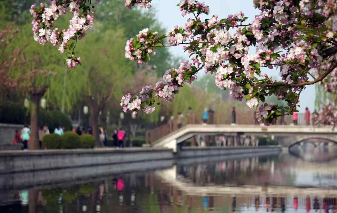 清明节的别称 清明节的由来，你真的知道吗？