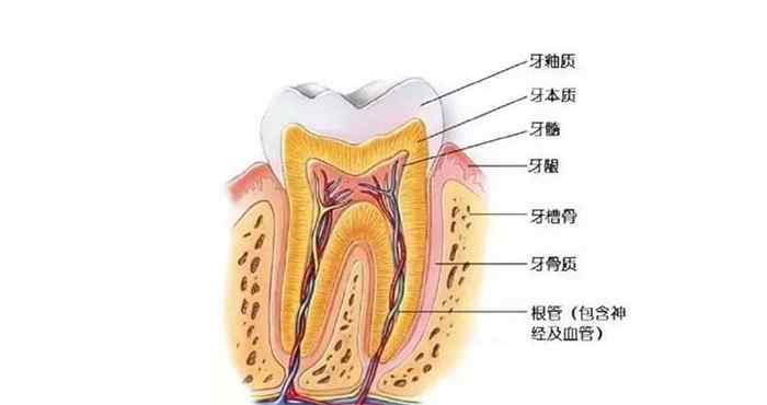 牙髓炎怎么办 牙髓炎怎么有这么多种？