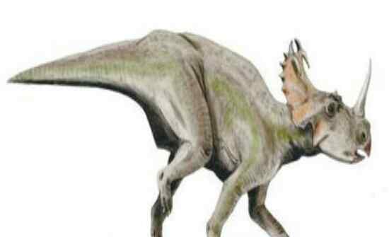 最大的恐龙 盘点世界上最大的恐龙 远古时期世界的统治者！