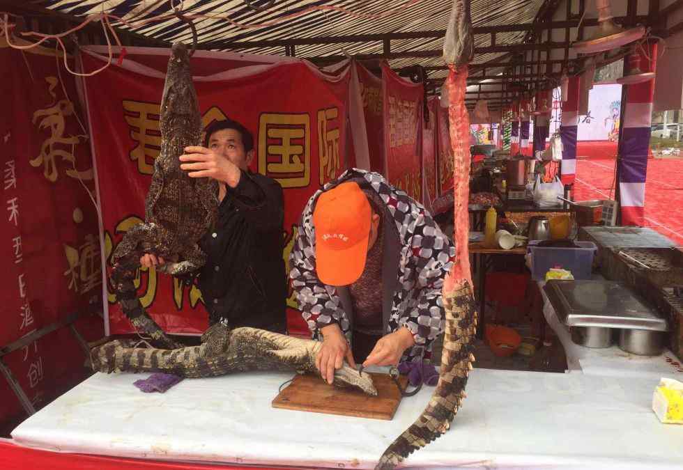 烤鳄鱼肉 合肥宿松路一美食摊点现鳄鱼肉烧烤 路过老太：很恐怖不敢吃