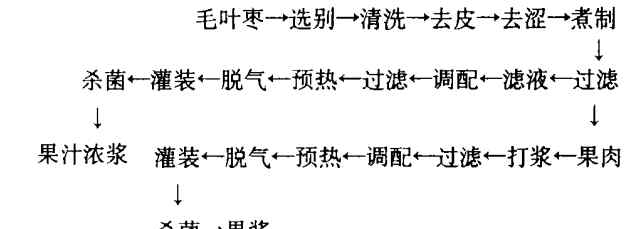 毛叶枣 毛叶枣果汁饮料配方加工技术的研究