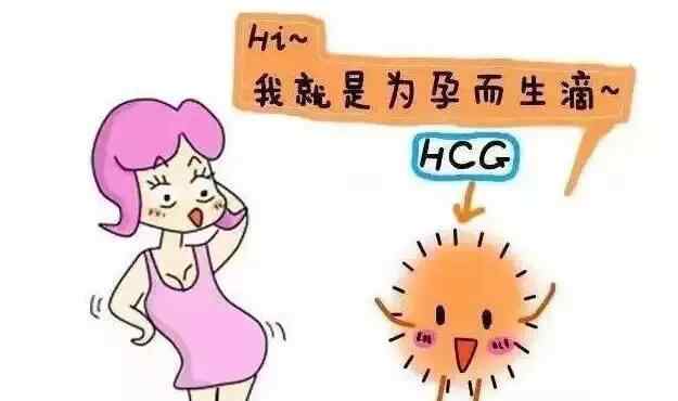 hcg高代表什么 如何读懂HCG和孕酮？