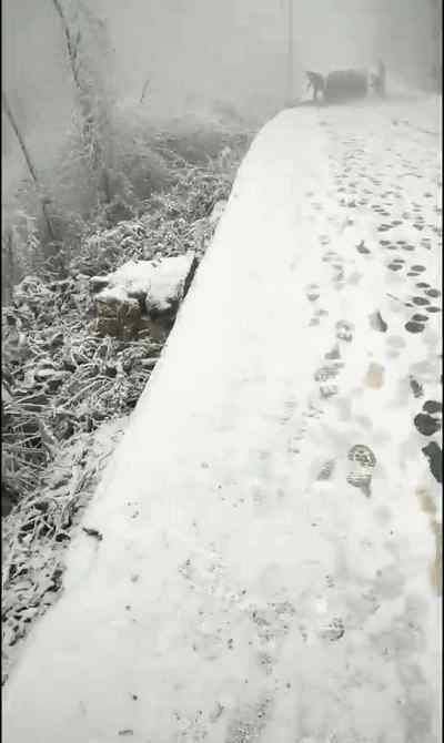 波霸图 大波图片来袭！毕节已是满眼雪和冰霜，自成一道靓丽的风景……