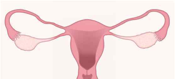 输卵管肿瘤 为什么这4类妇科肿瘤一发现就是中晚期？出现这些信号要注意