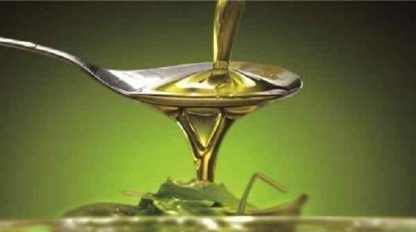 茶叶籽油 茶叶籽油最健康的提取方法是什么？