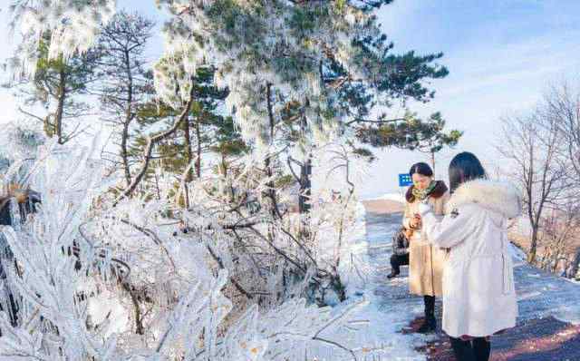 树挂冰花 比春花更绚烂！天蒙山再现超美冰凌、冰花、冰挂奇观！