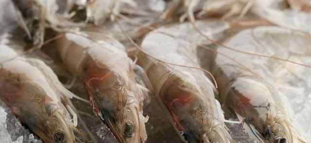 冰虾可以直接吃吗 保存鲜虾，不要直接放冰箱，贩子教你一招，放多久都和新鲜的一样