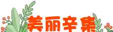 石家庄之歌第二部 网曝：杨晖唱“石家庄之歌”东窗事发之后......（2）